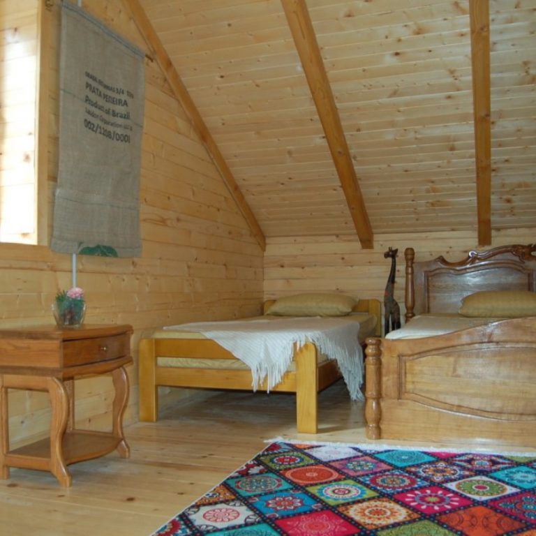 Rafting na rijeci Tari